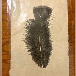 NWT - Sundance Black Feather Art Print